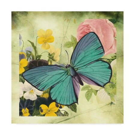 Trademark Fine Art Jean Plout 'Butterfly Visions With Bleed